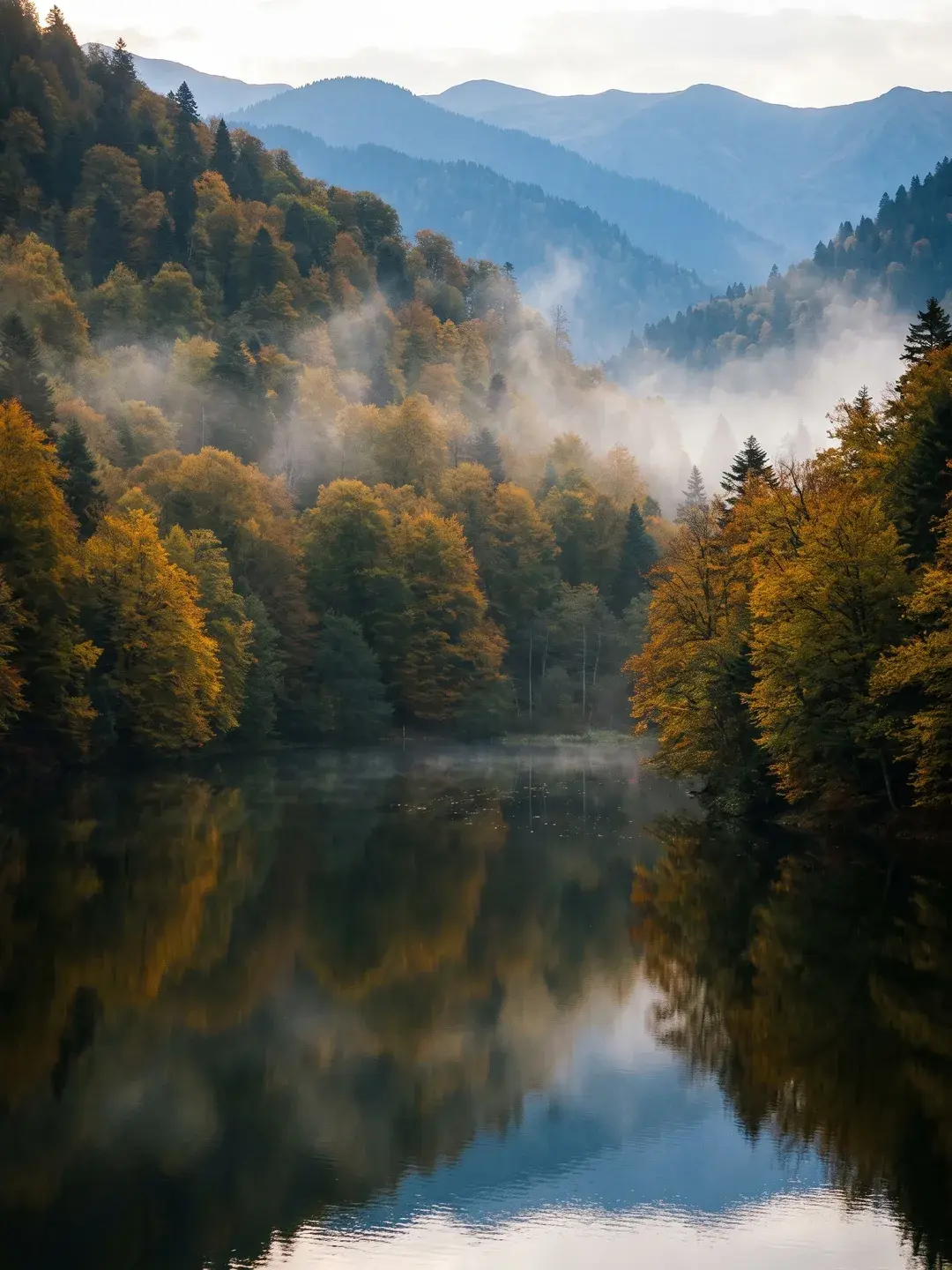 Bolu