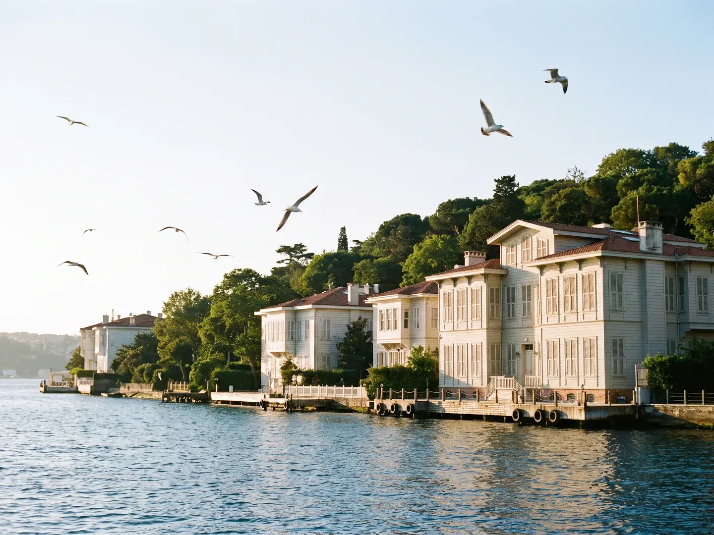 Morning Bosphorus Tour with Breakfast