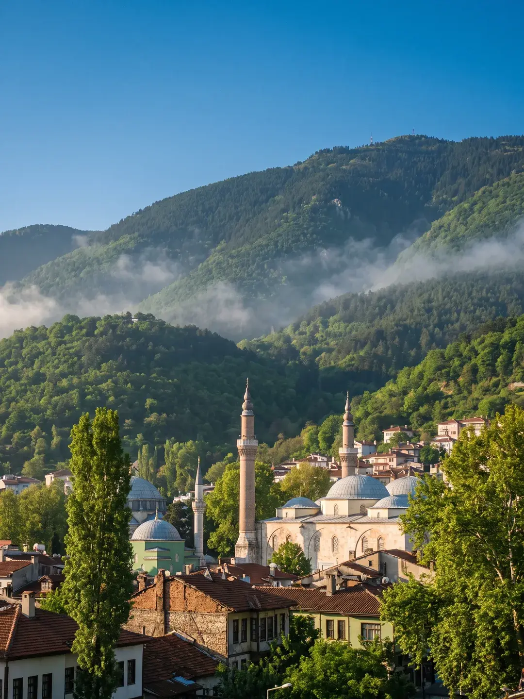 Bursa