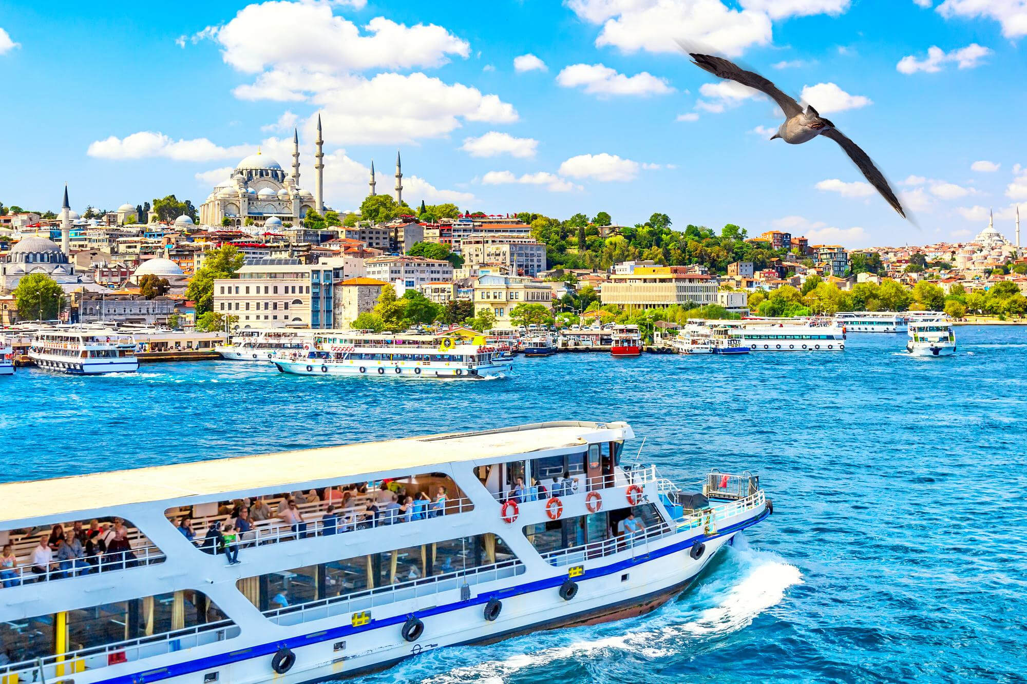 touristic-sightseeing-ships-golden-horn-bay-istanbul-view-suleymaniye-mosque-with-sultanahmet-district-seagull-foreground-istanbul-turkey-during-sunny-summer