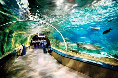 Aquarium & Florya Mall Tour
